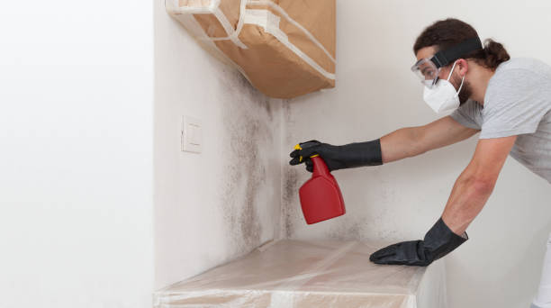 Professional Crawl Space Mold Removal technician working in Concord, PA