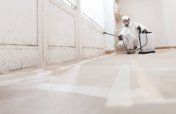 Trusted Crawl Space Mold Removal service in Concord, PA - WQB Mold Removal