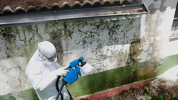 Top rated local Crawl Space Mold Removal specialists in Concord, PA